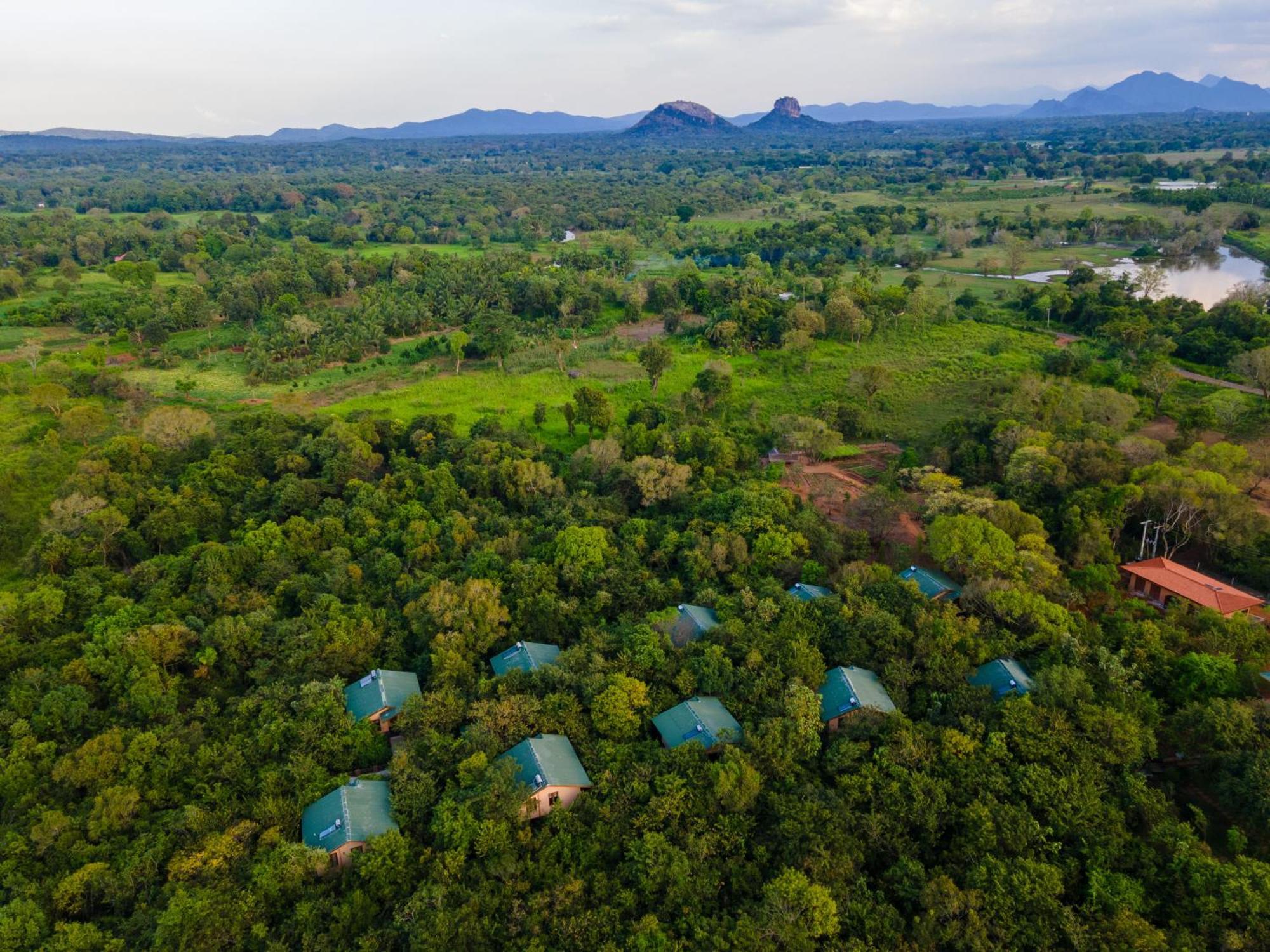 Sigiriya Forest Edge By Marino Leisure 外观 照片